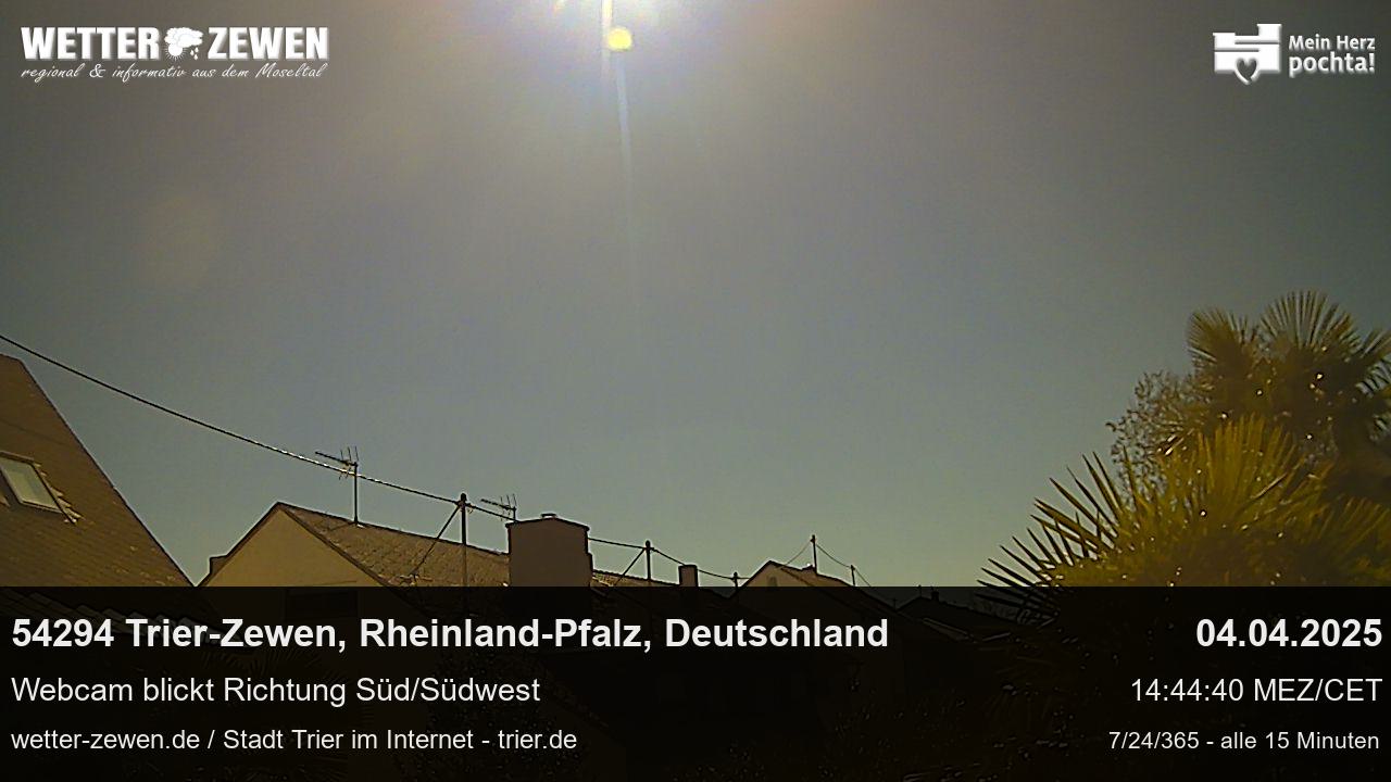 Bild