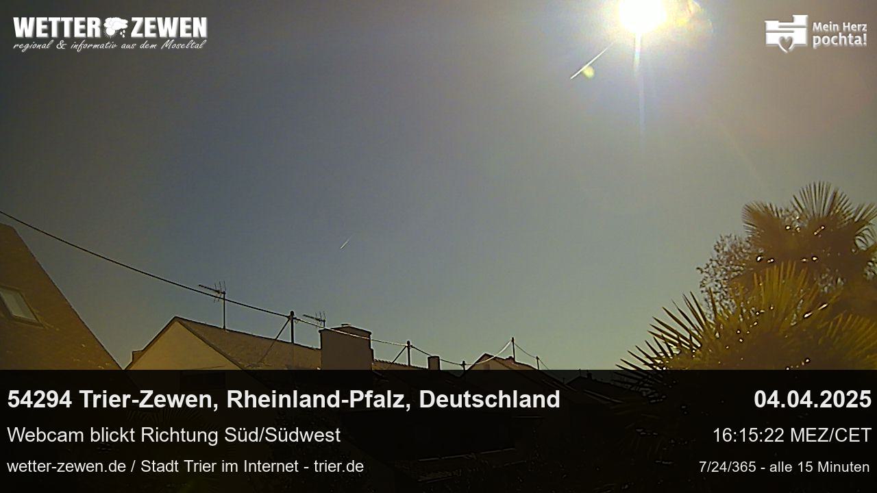 Bild