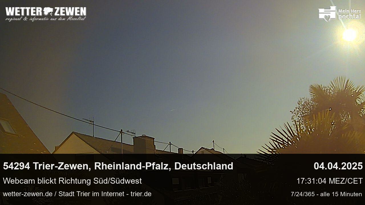 Bild