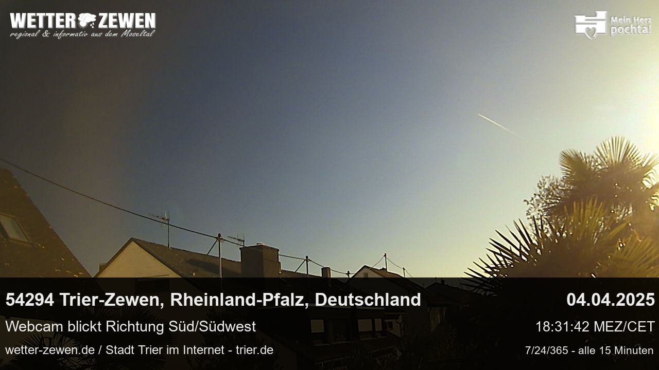 Bild