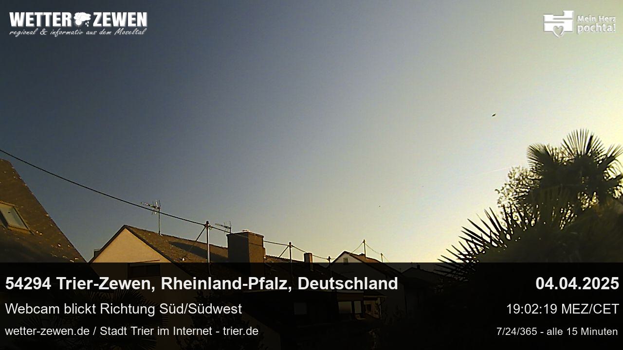 Bild