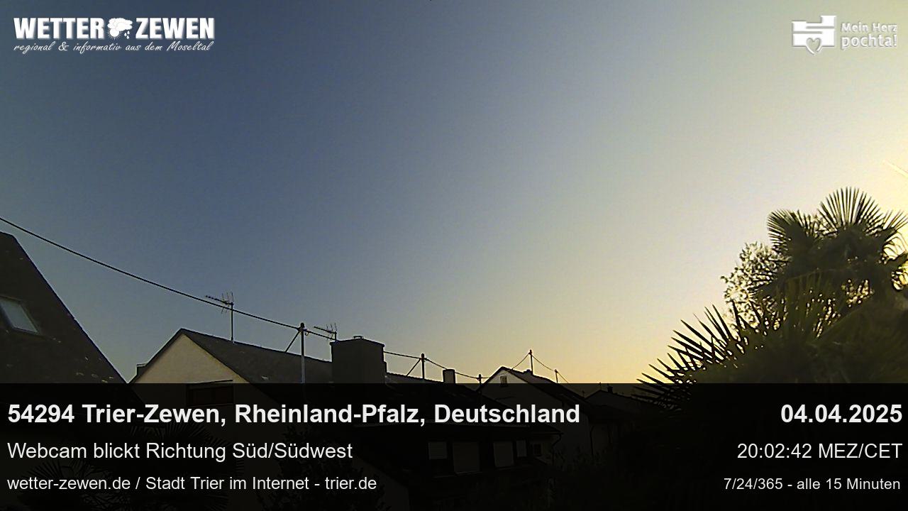 Bild