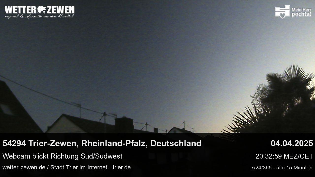 Bild