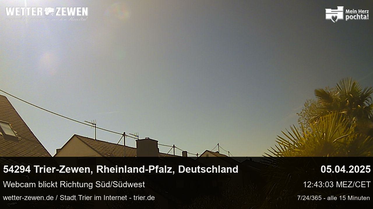 Bild