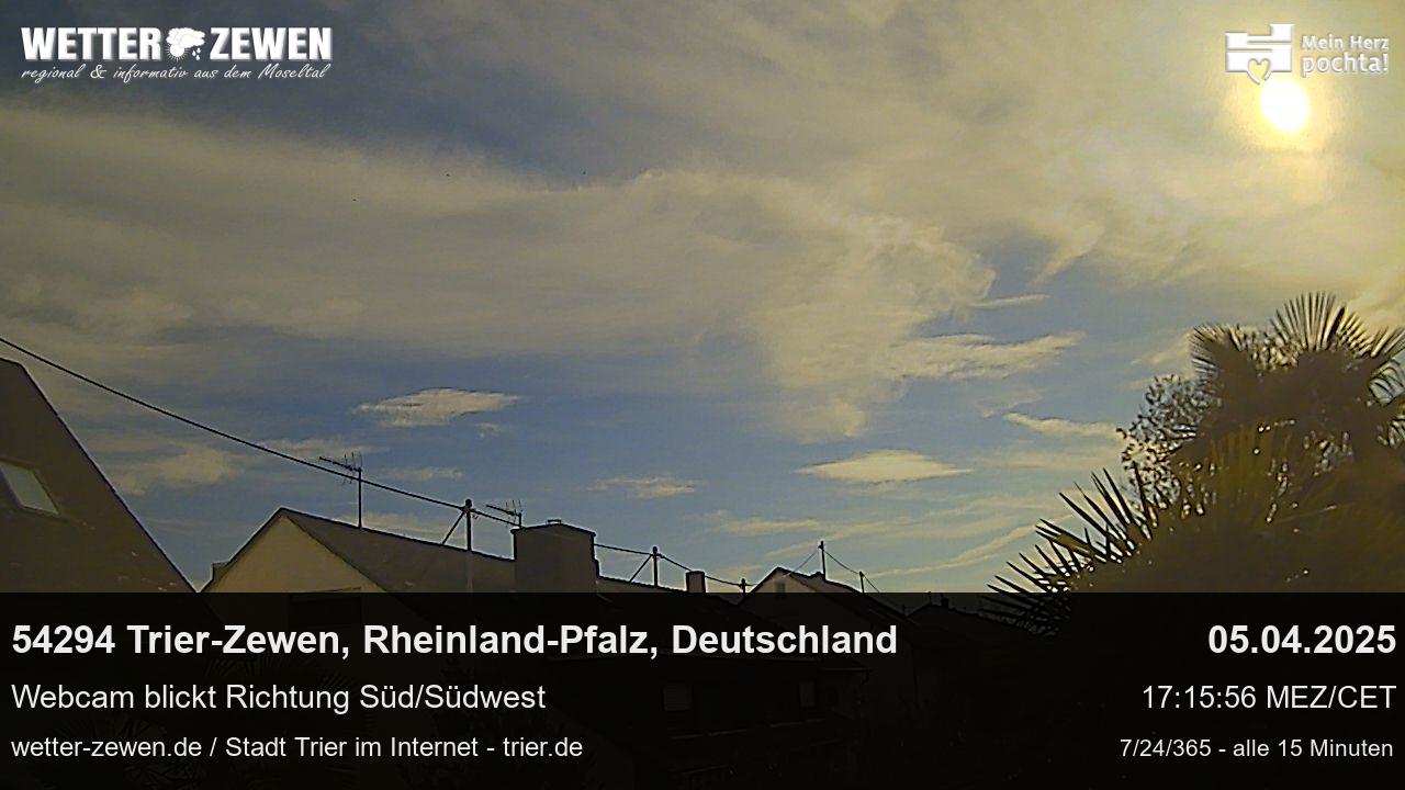 Bild