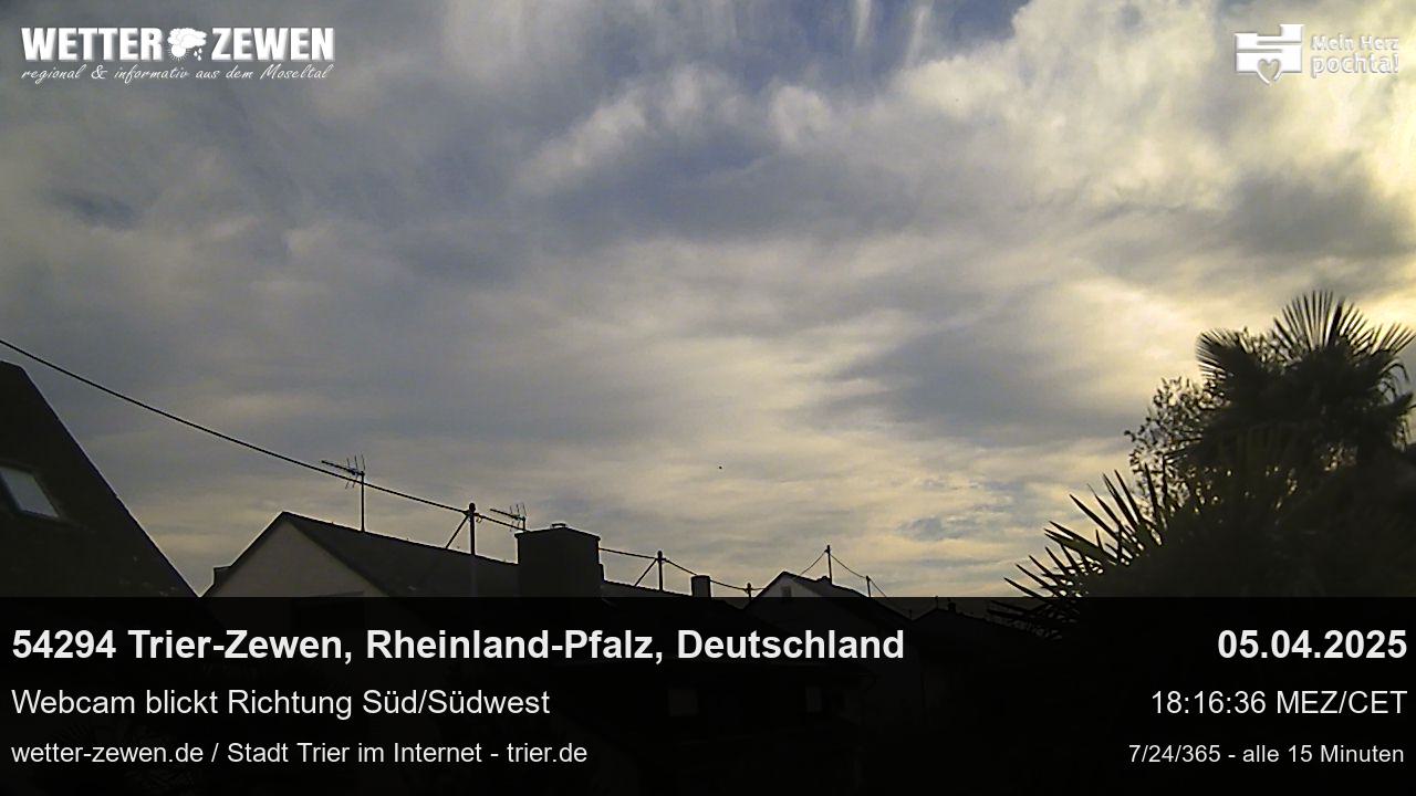 Bild