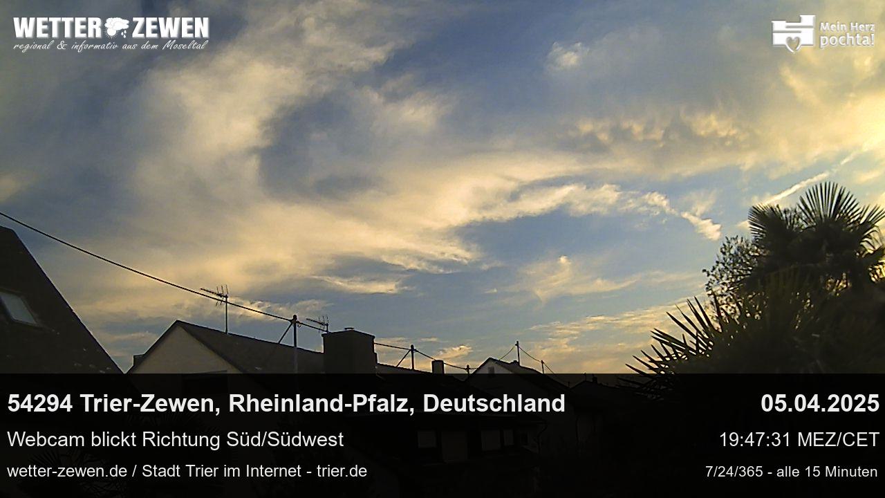 Bild