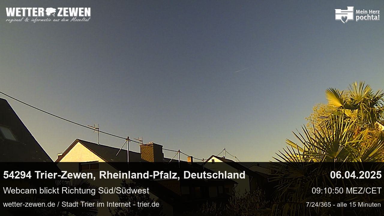 Bild
