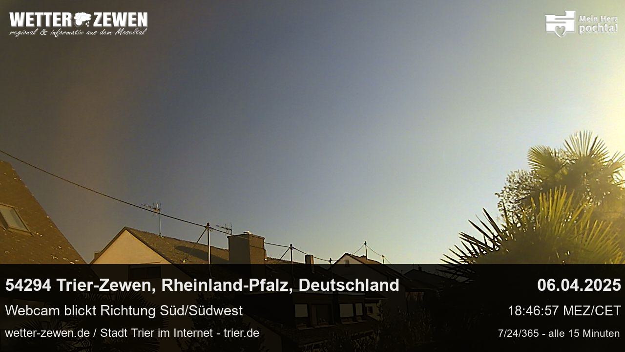 Bild
