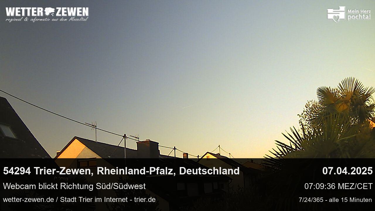 Bild