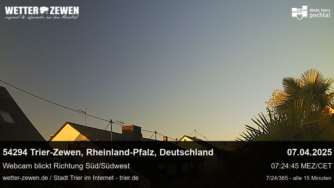 Bild