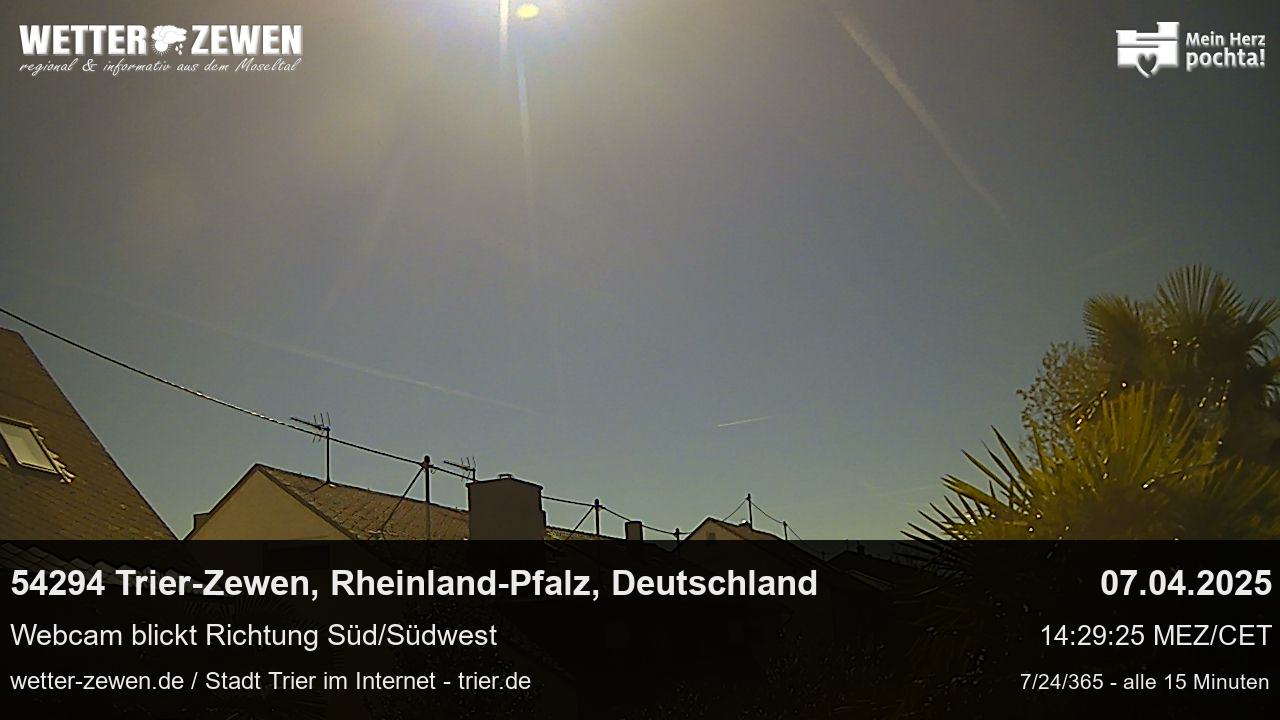 Bild