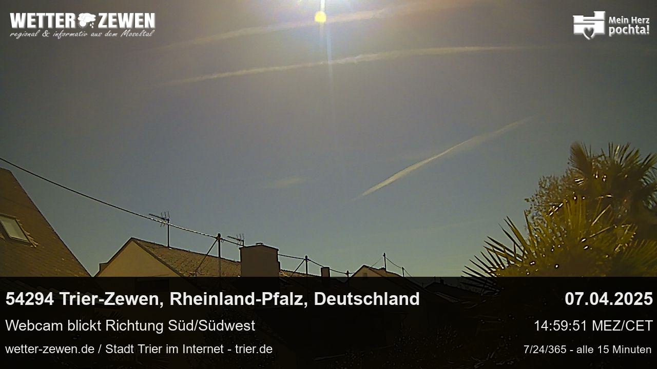 Bild