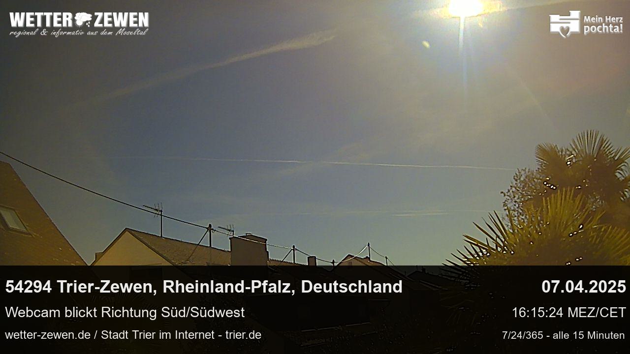 Bild