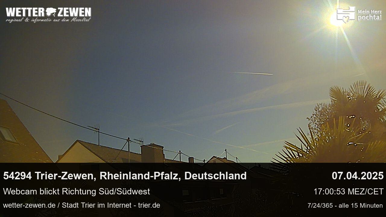 Bild