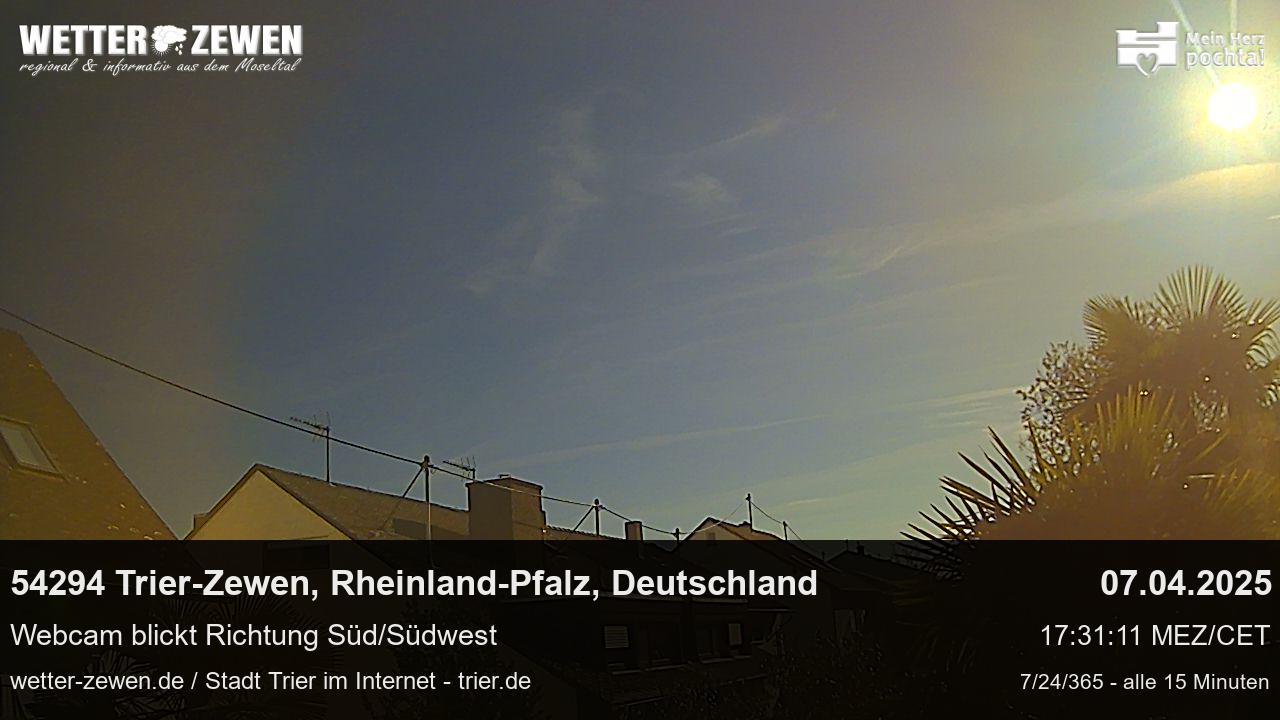 Bild