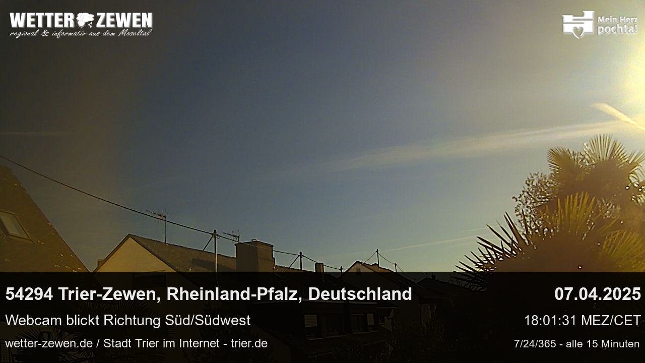Bild