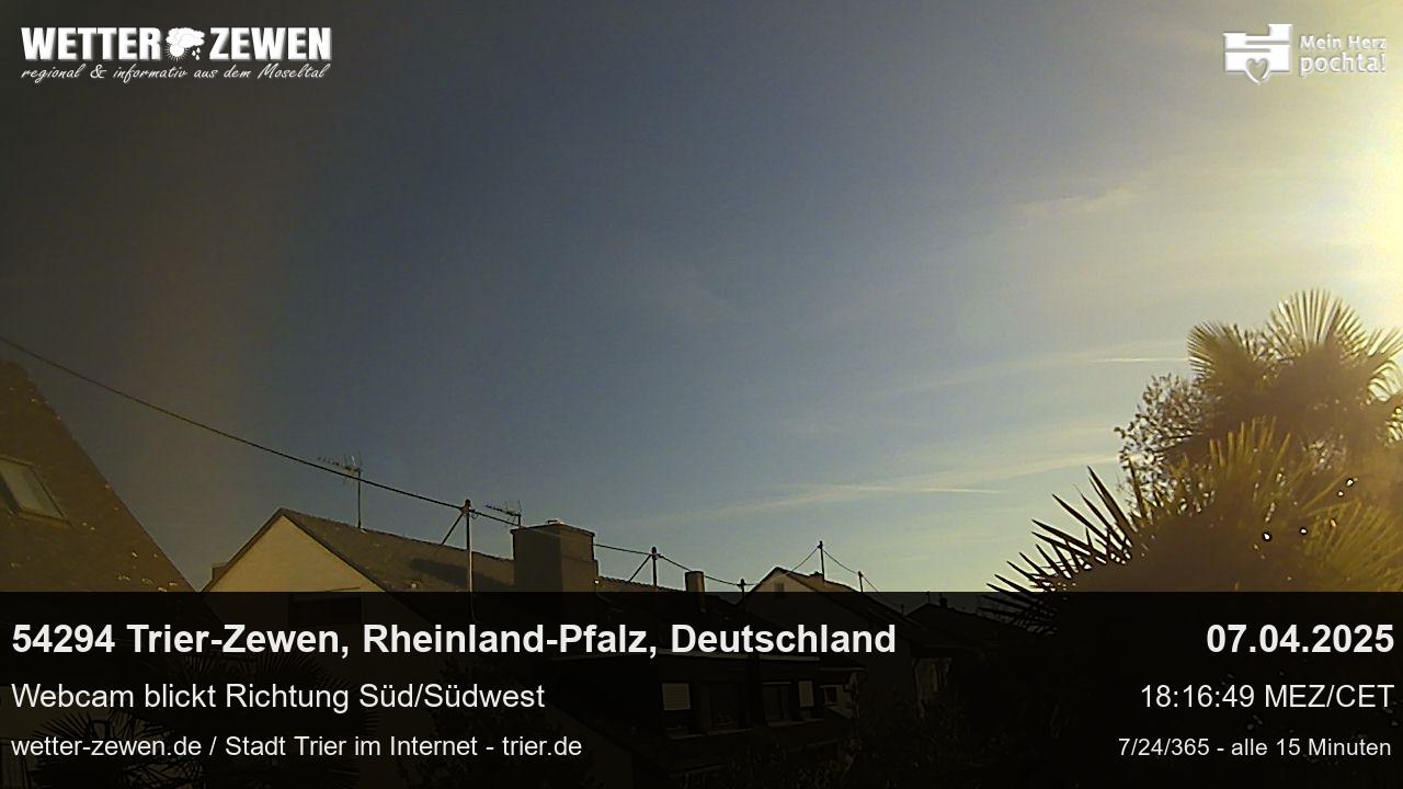 Bild