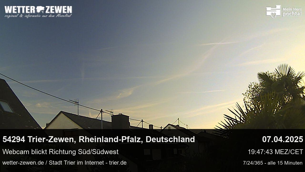 Bild