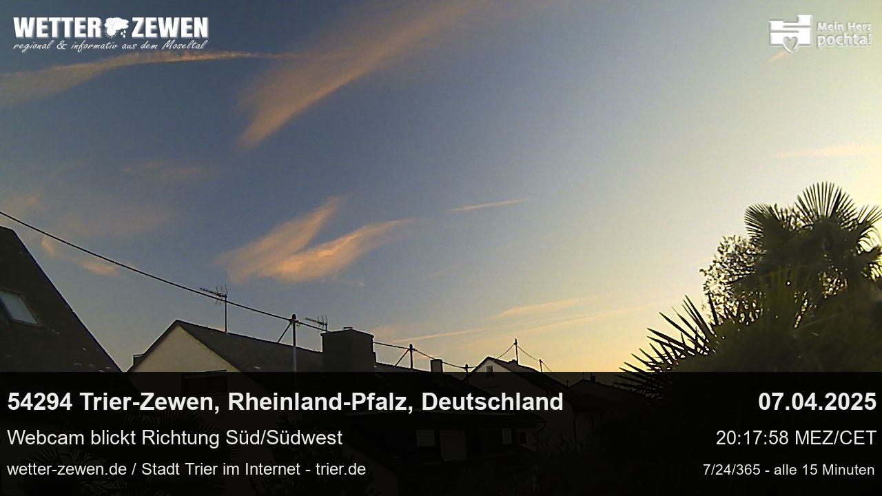 Bild