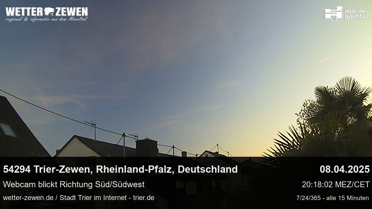 Bild