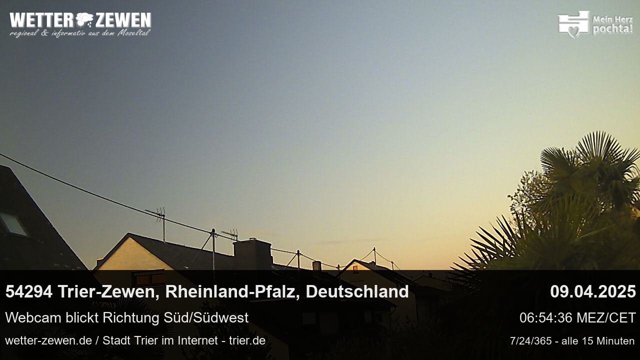 Bild