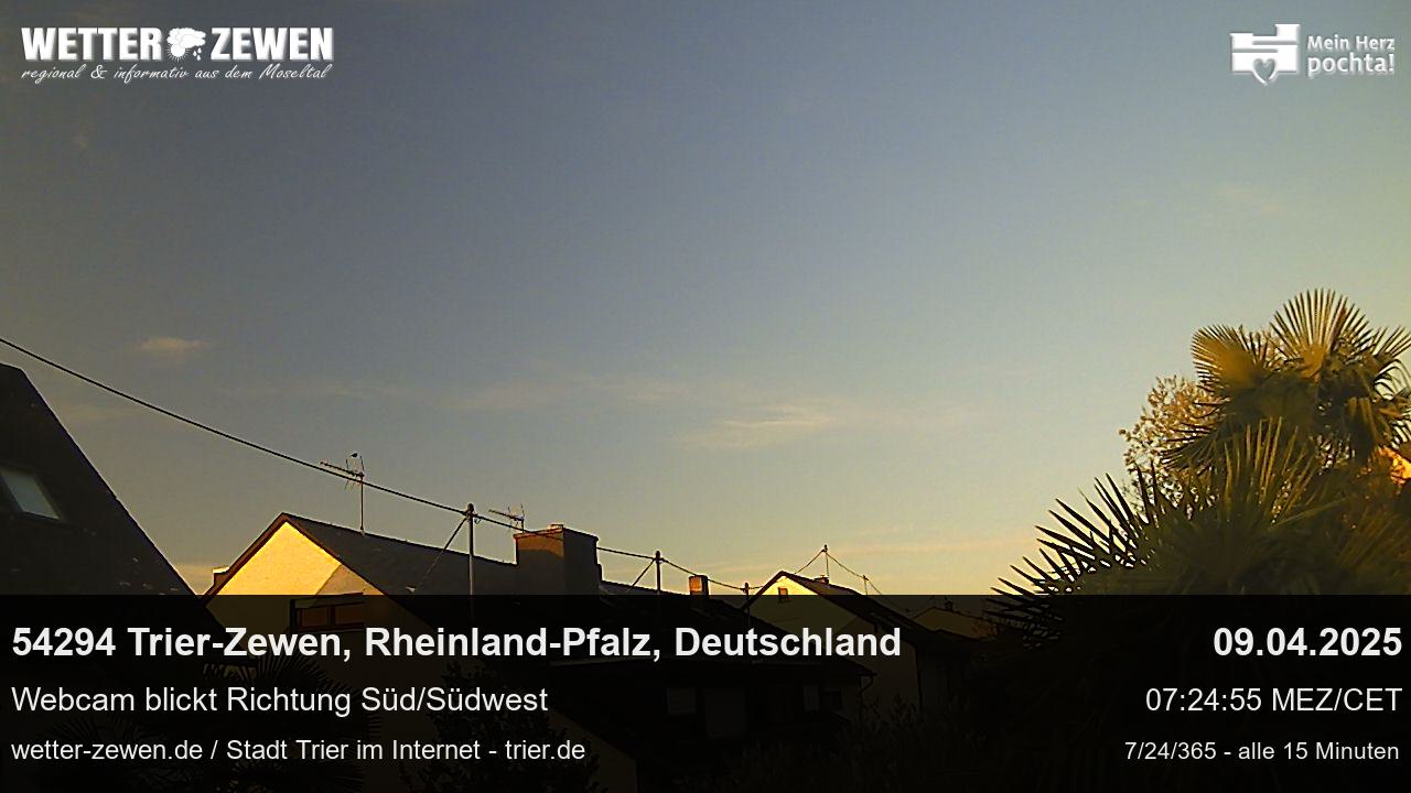 Bild