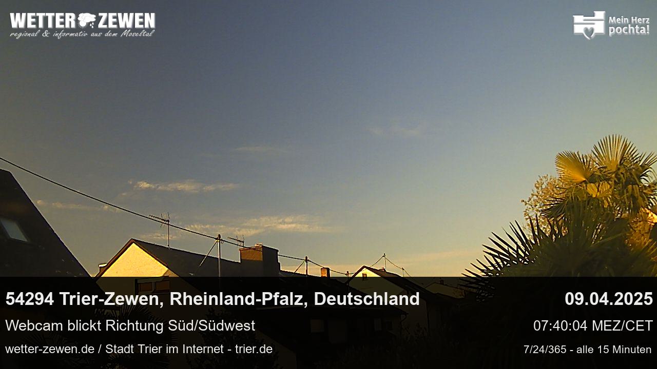 Bild