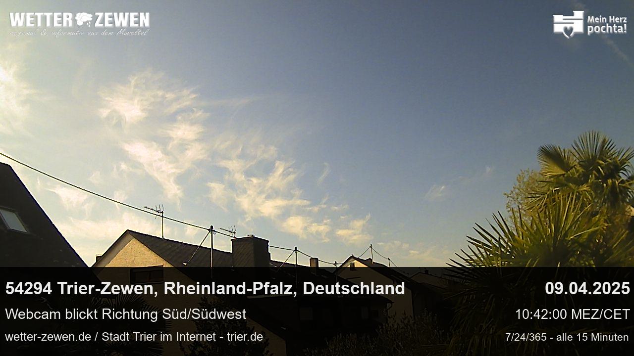Bild
