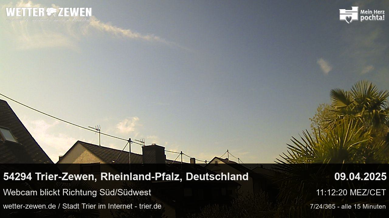 Bild