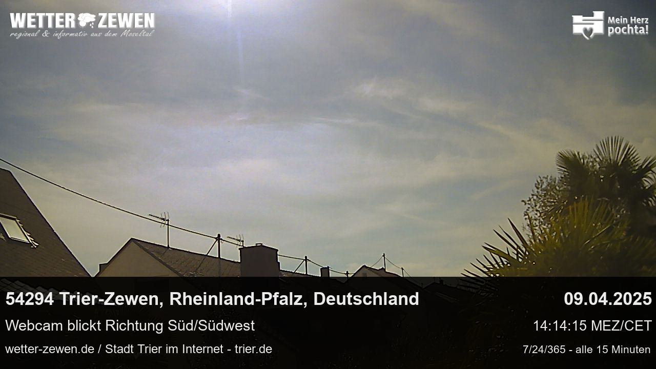 Bild