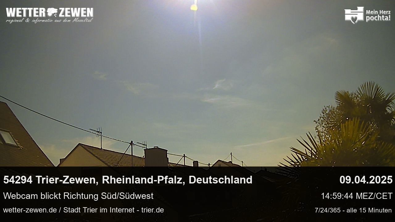 Bild