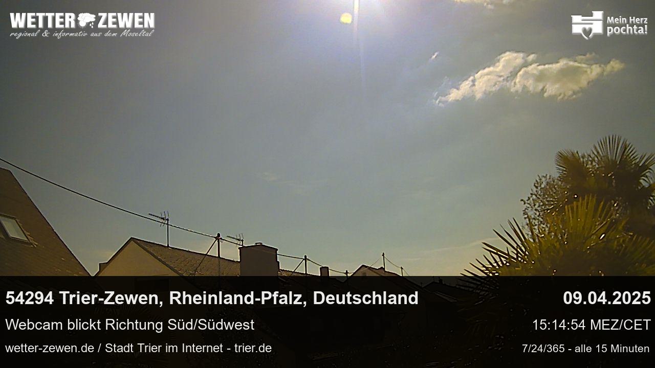 Bild
