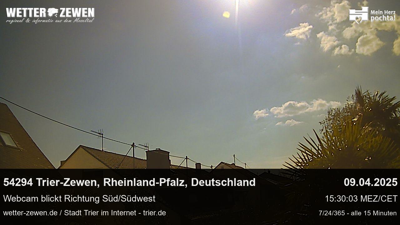 Bild