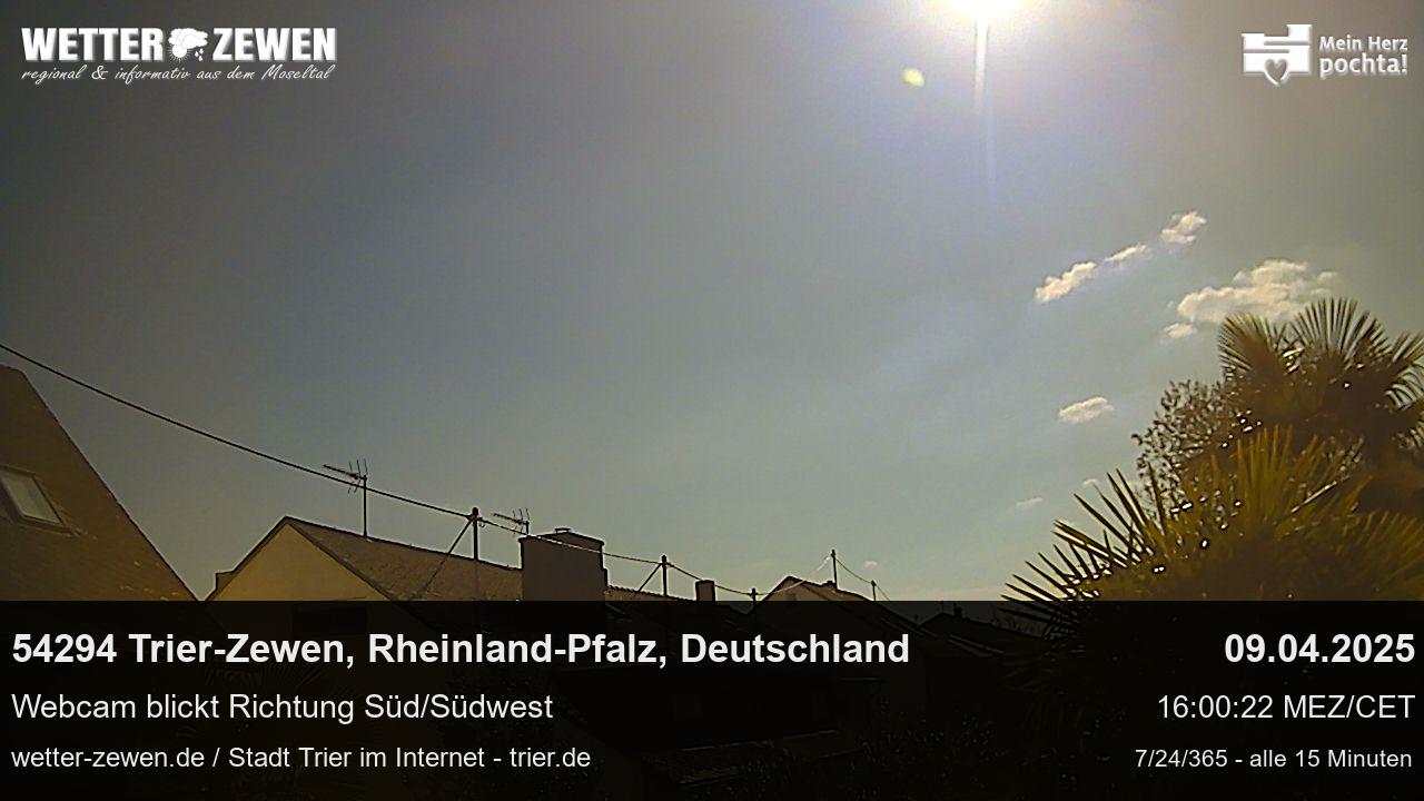 Bild