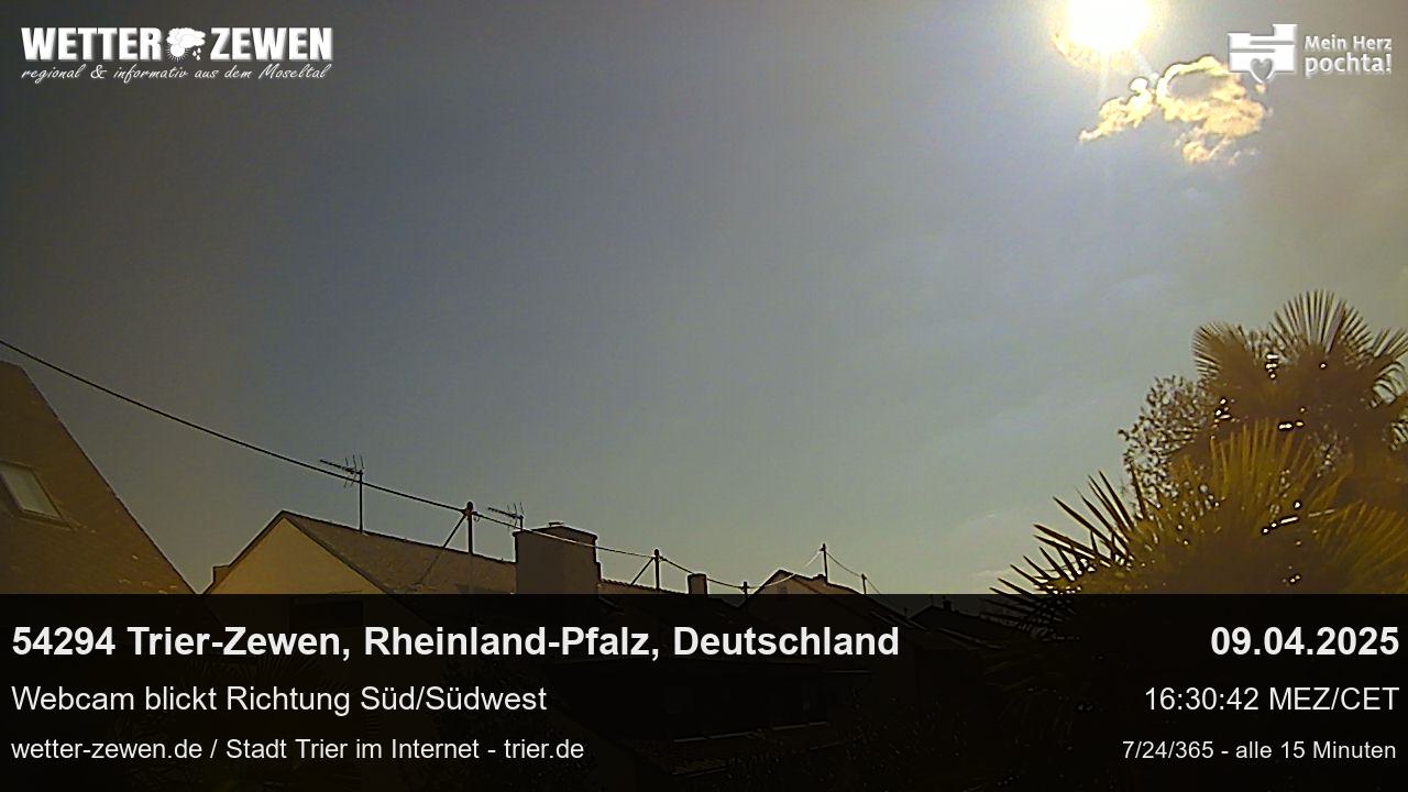 Bild