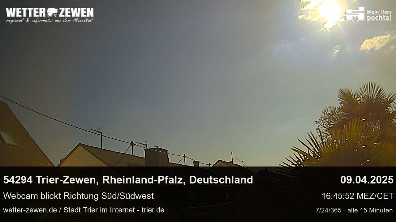 Bild