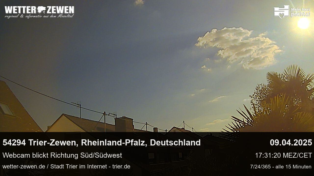 Bild