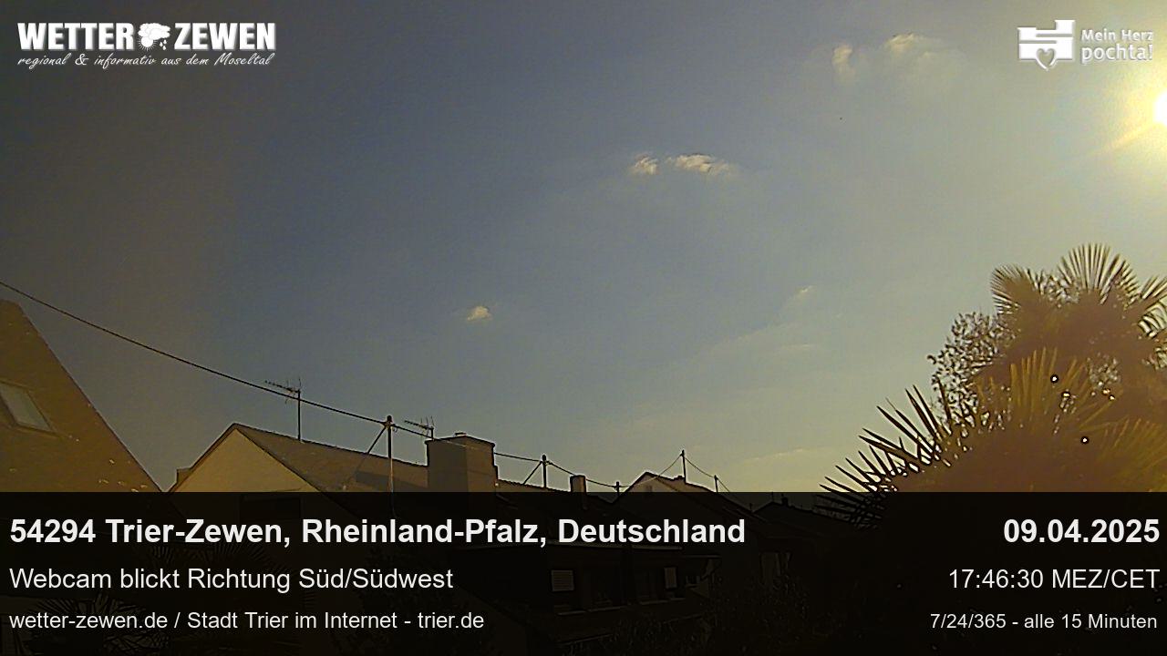 Bild
