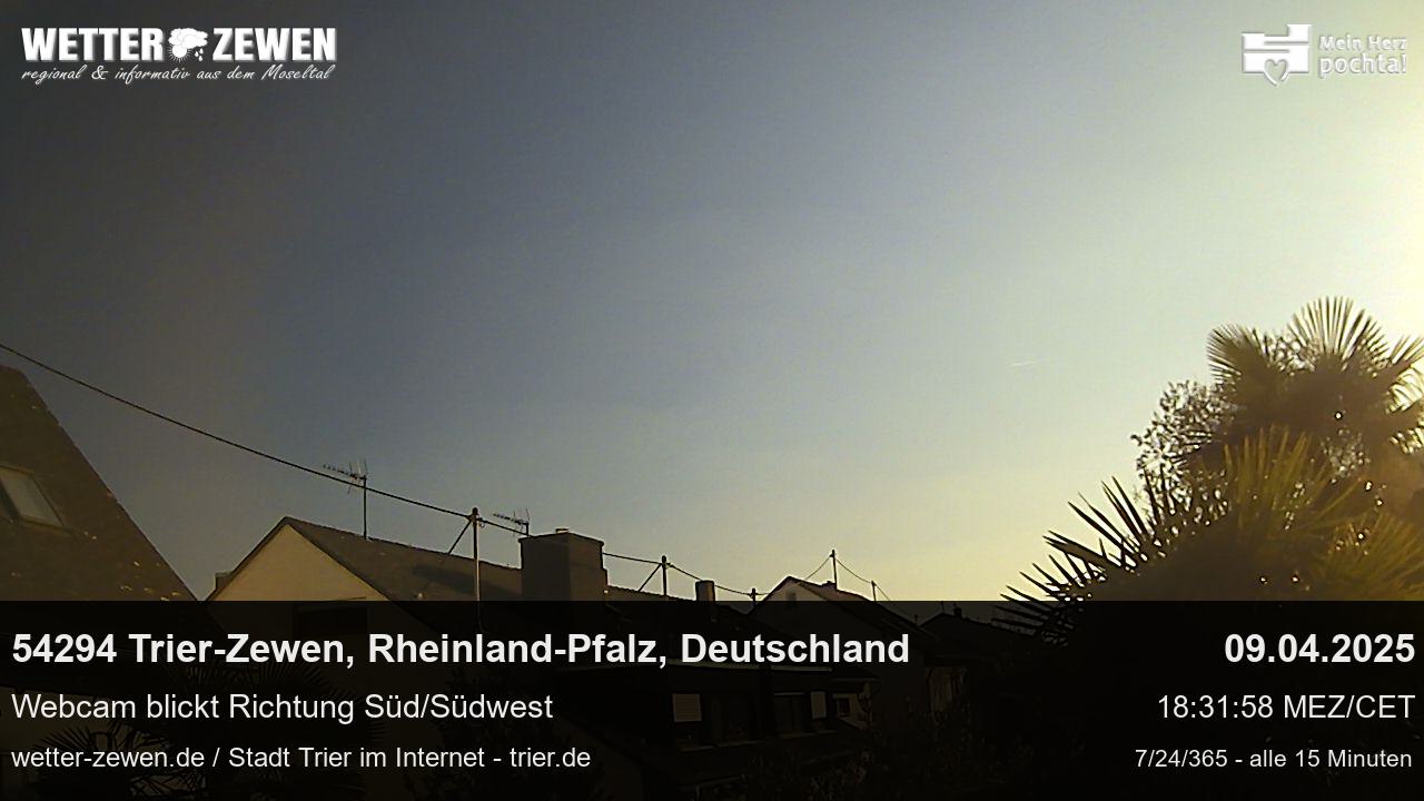 Bild