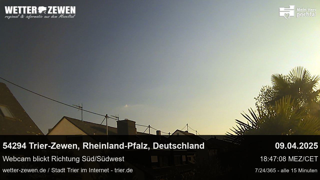 Bild