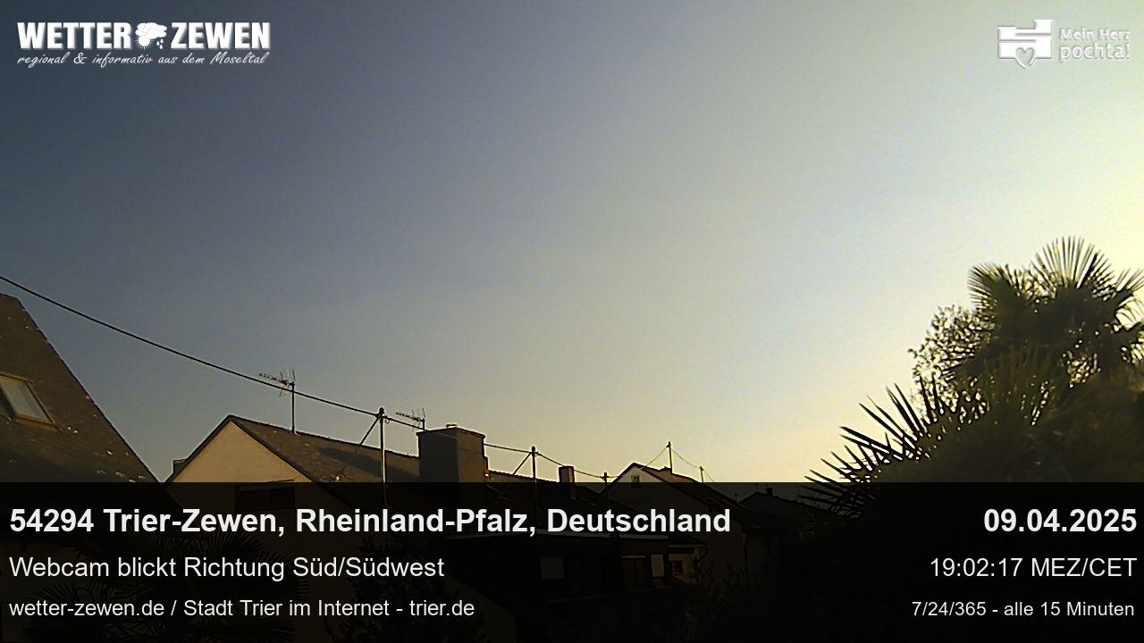 Bild