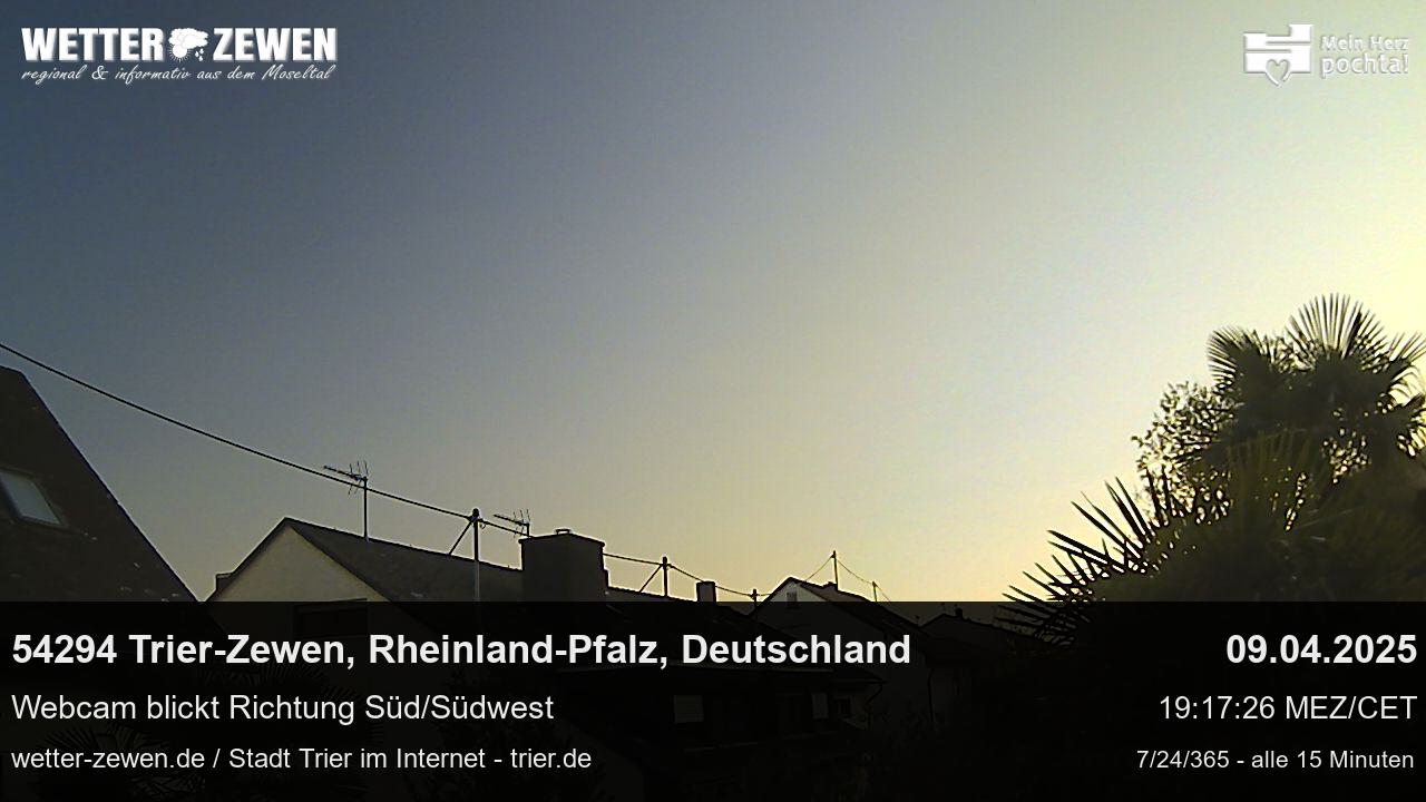 Bild