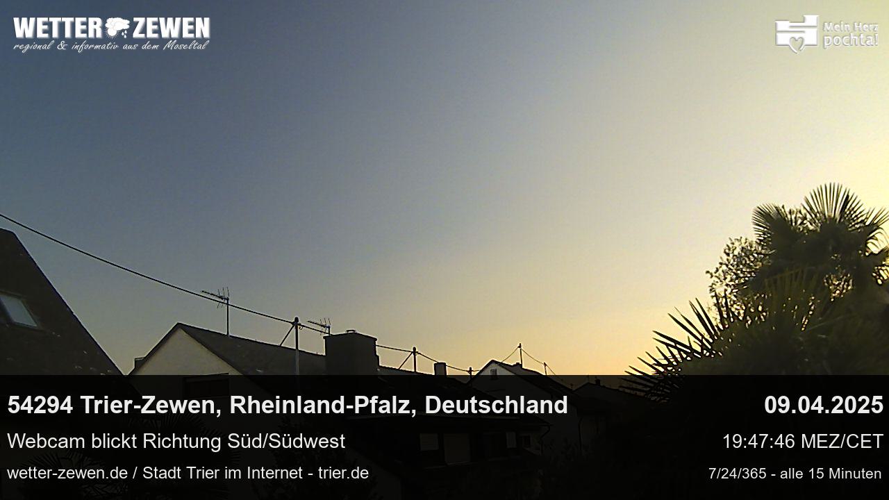 Bild