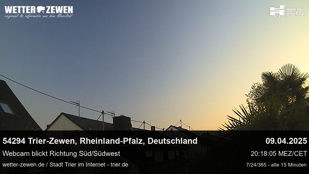 Bild