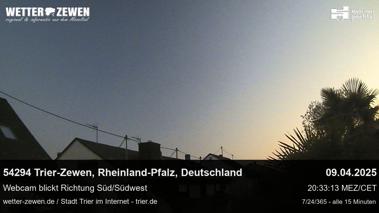 Bild
