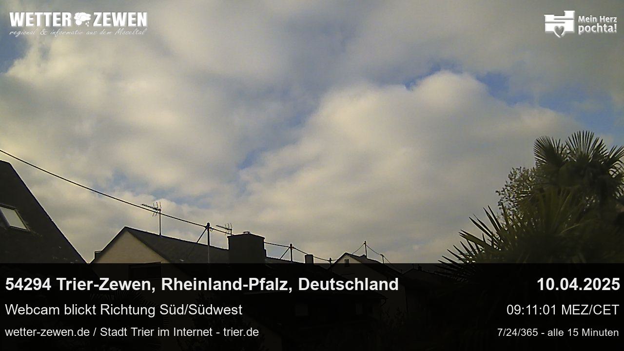 Bild