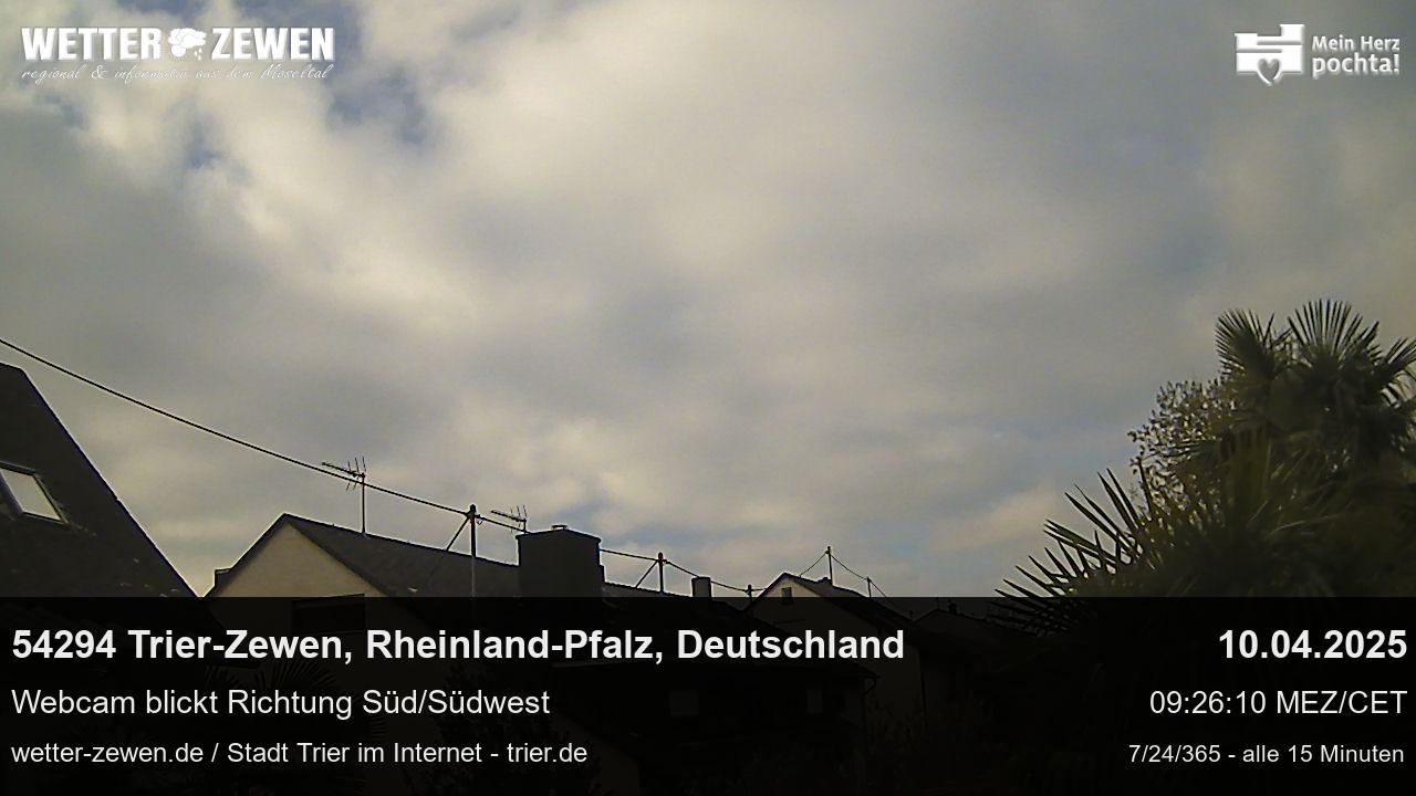 Bild