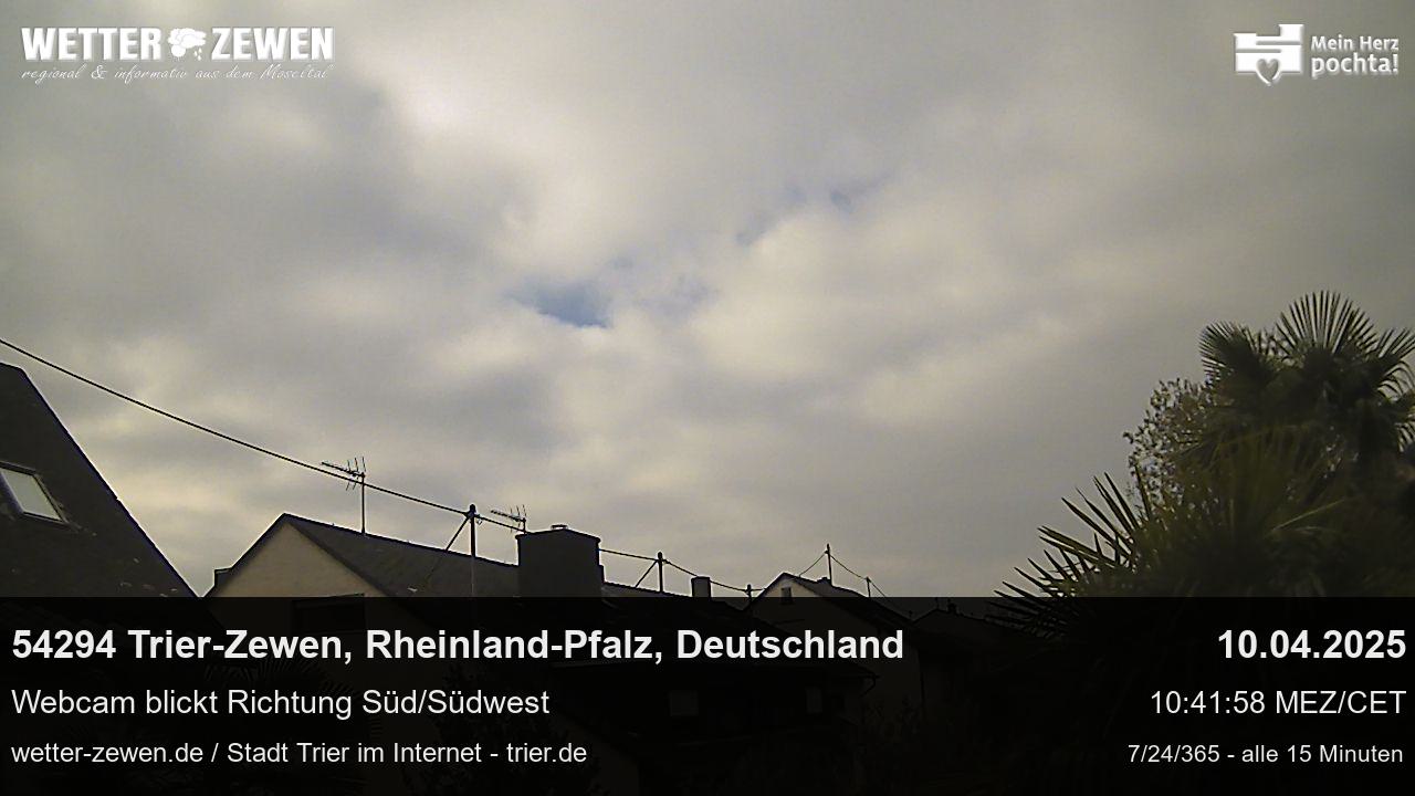 Bild