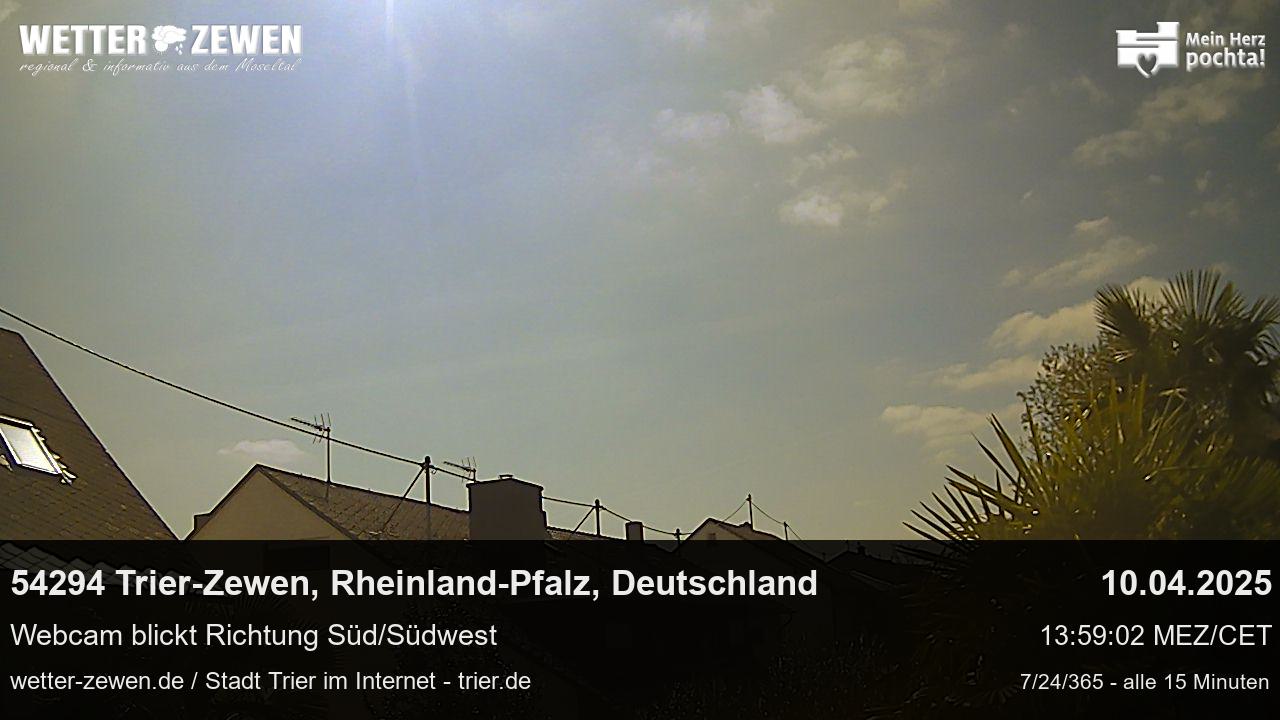 Bild